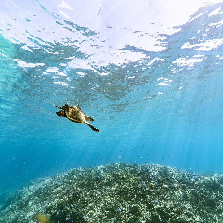 Okinawa: Castles & Coral